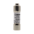 ERP 100599 20 AMP Fuse for TurboChef Rapid Cook Oven R10H20
