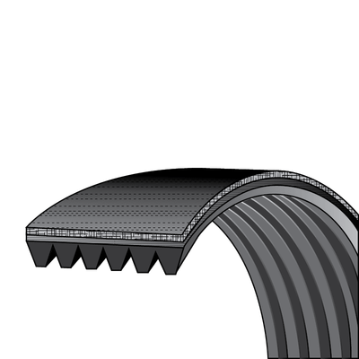 Supplying Demand Dryer Drum Drive Belt Replacement – Fits Select Models, 100-Inch 6-Rib Belt (Part DC66-00805A)