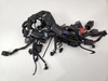 Main Wiring Harness Triumph Speed Triple 1050 08-10 T2501021