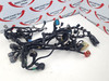 Main Harness Kawasaki Z900 ZR900 17-18 26031-2291