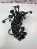 Main wiring harness Ducati Monster 821 15-16 51019741C