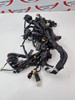 Main harness Ducati Diavel Strada 13-14 51019171B