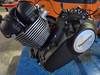 Motor Engine Triumph 865 America Speedmaster Scrambler EFI www.youtube.com/shorts/IaRh6Yovu7s