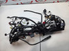 Main Harness Triumph Street Triple 765 RS Moto 2 From BF1297 T2506090