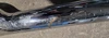 Vance and Hine Fishtail twin exhaust system Harley Davidson Softail 11-17