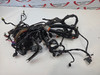 Main Harness Harley Davidson Softail 2007 70431-07