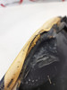 Seat Husqvarna FE 501 250 350 450 2015 81307840100
