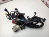 Main Harness Kawasaki EX650 Ninja 650 24-25 26031-3994