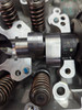 Cylinder head and valves Triumph Thruxton RS  Speed twin 1200 T1156067
