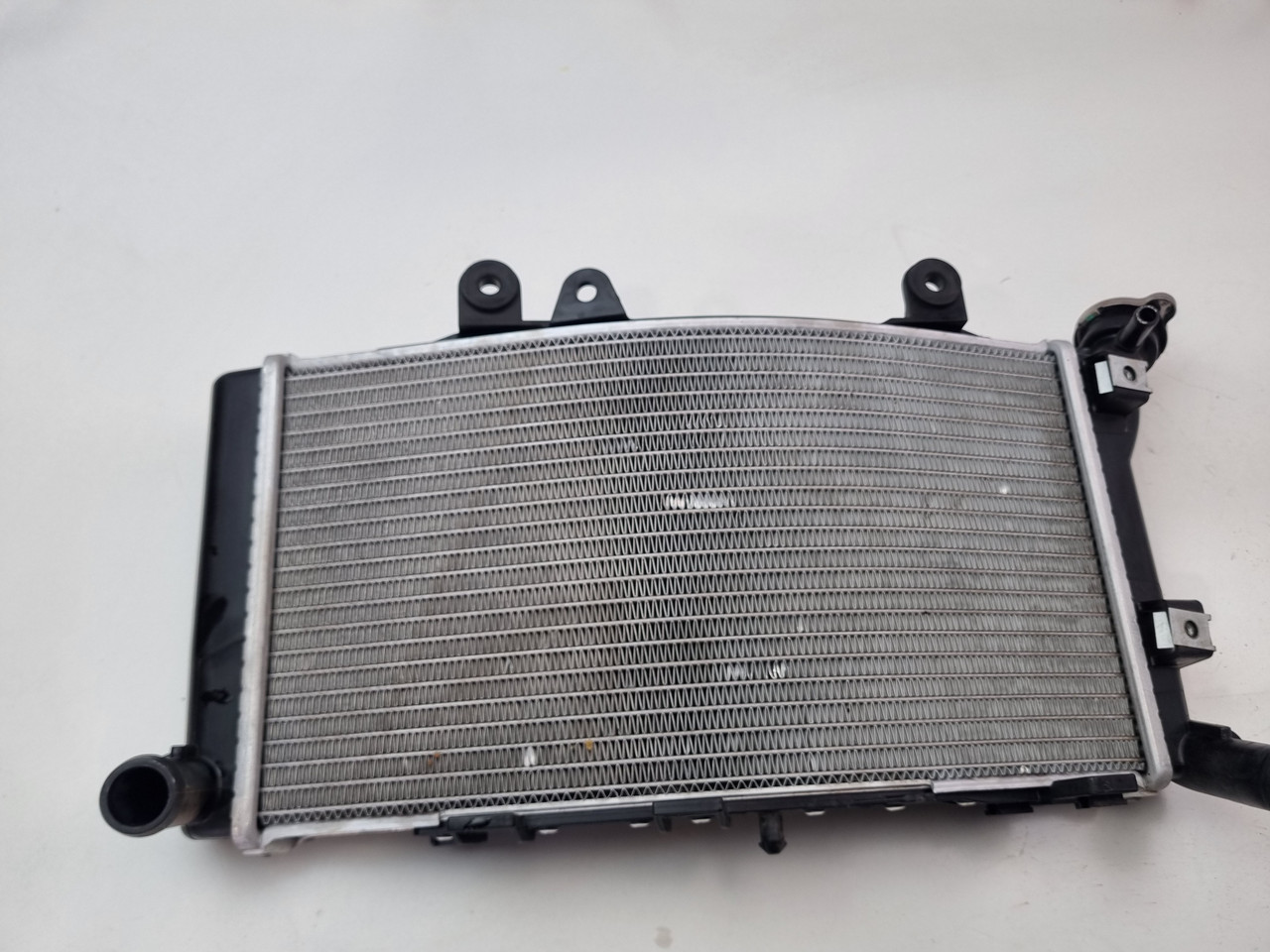 バイイー Radiator BMW F850 GS ADV F750 17111600196 - Bike Part Out