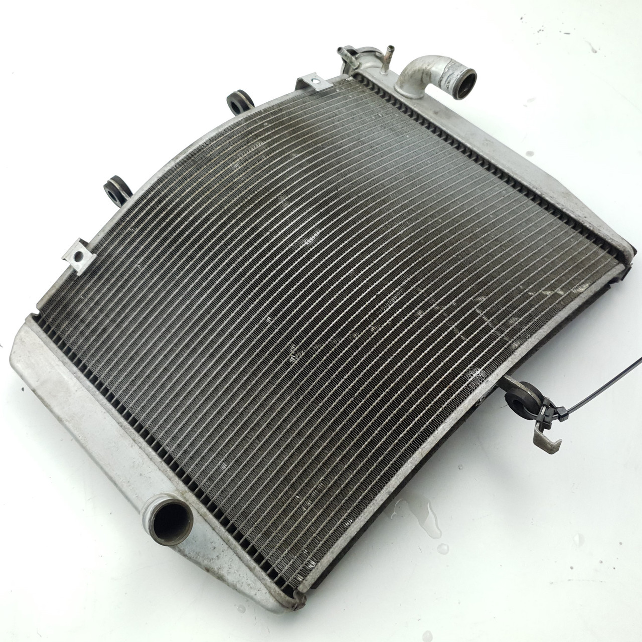 Radiator Kawasaki Ninja ZX6R ZX 6R ZX600R 07-08 39061-0092 - Bike