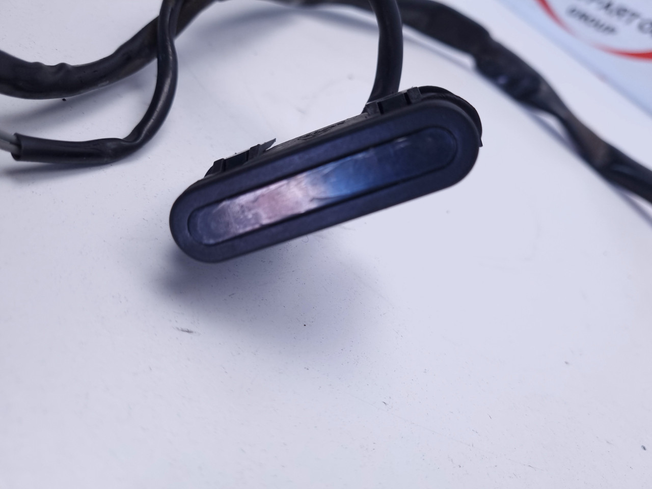 Instrument light speedo harness Harley Davidson Sportster XL1200 XL883 ...
