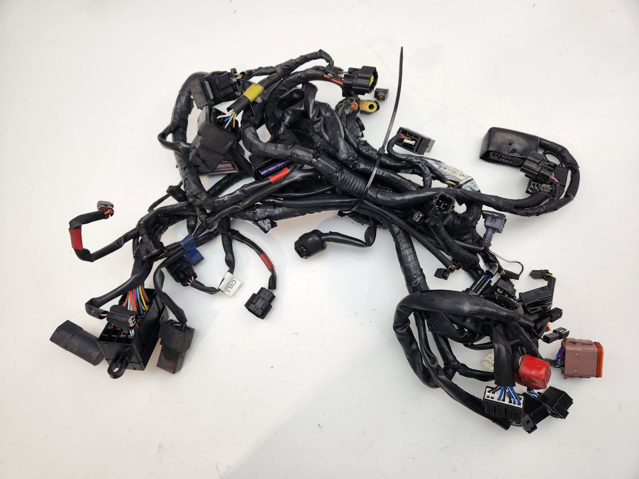Main Harness OEM Triumph Bonneville T100 Thruxton EFI T2506672