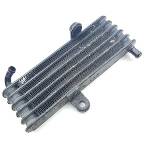 RH Right Oil Cooler Aprilia Tuono 1000 R RSV1000 06-09 RSV2 04-08 AP8104341