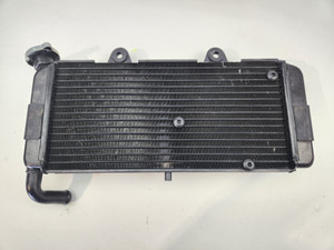 Radiator  Yamaha XT660Z XT 660 Z  Tenere  11D-E2461-10