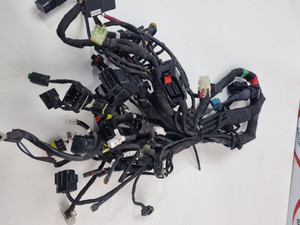 Main Harness Ducati Scrambler 800 19-20 5101E241C