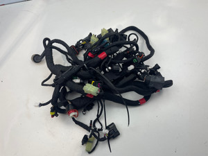 Main Harness Ducati Streetfighter V2 22-24 5101L011E