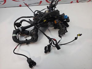 Main Harness ABS Triumph Thunderbird 1600 1700 Storm T2501087