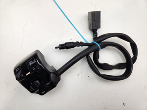 LH Switch lights horn OEM Triumph Thunderbird 1600 1700 Storm Rocket III Touring T2046759