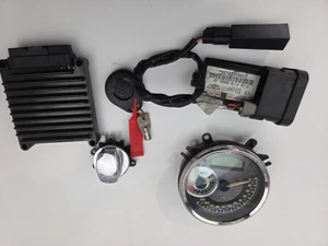 Coded Fob TSSM ECM CDI Security Speedo 5in Harley Davidson EFI Dyna 06-11 Softail 07-10 68925-07
