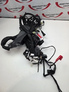 Main Harness Ducati Hypermotard 950 SP 19-25 5101D071E
