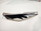 Left side cover KTM 1190 Adventure R  6030804100028A 13-16