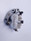 LH Front brake caliper Yamaha XT660Z XT 660 Z  Tenere 11D-F580T-00 LH Front brake caliper Yamaha XT660Z XT 660 Z  Tenere 11D-F580T-00