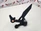 RH foot peg and mount KTM Duke 890 20-22 790 18-21 6410303901033