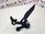 RH foot peg and mount KTM Duke 890 20-22 790 18-21 6410303901033