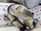 Termignoni exhaust system muffler damaged Ducati 848 1098 Streetfighter 96454711B