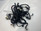 Main Harness Ducati Streetfighter V2 22-24 5101L011E