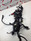 Main Harness Moto Guzzi V7 850 21-25 2D000610