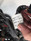 Main Harness Harley Davidson Dyna 2007 69602-07 69602-07C