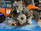 Motor engine 7962km Ducati Streetfighter V2 22-25