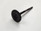 Exhaust Valve Yamaha YZ250F YZF250 YZF 250 07-13 5NL-12121-10