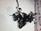 Main Harness Ducati Hypermotard 950 SP 19-25 5101D071E