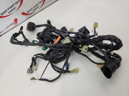 Main Wiring Harness Yamaha XT660Z XT 660 Z Tenere 09-16 11D-H2590-01