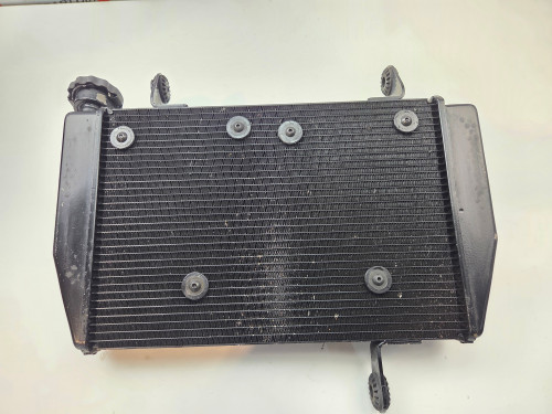 Radiator Ducati Hyperstrada Hypermotard 821 939 13-18 54840981D