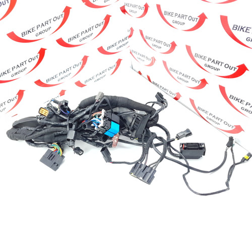 Main Wiring Harness ABS Triumph Street Twin 19-20 T2501103