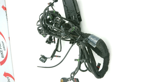 Engine harness BMW S1000XR S1000 XR ESA 14-19  12518545376 