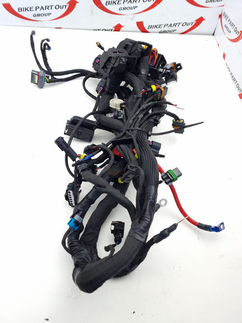 Main Harness Indian FTR1200  FTR 1200 S 2414907