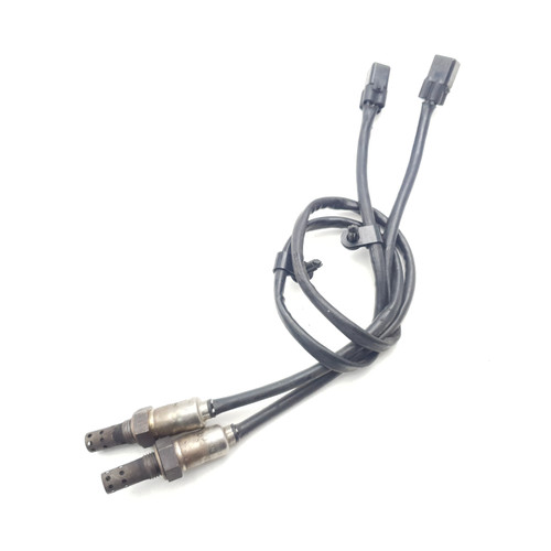 Oxygen Sensor Pair Triumph M12 Thruxton America Speedmaster Bonneville EFI T2040748