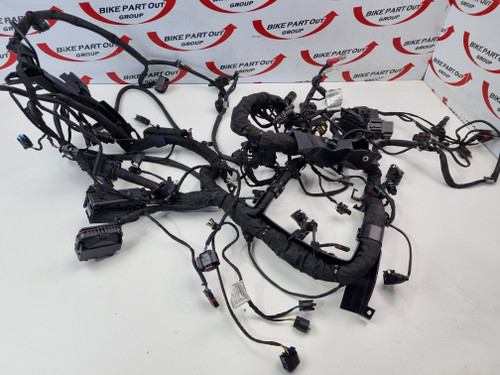 Main harness BMW S1000XR S1000 XR 19-24 61111540419 61117105053 Main harness BMW S1000XR S1000 XR 19-24 61111540419 61117105053