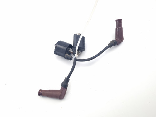Ignition coil pair Triumph Street Cup Scrambler Twin Thruxton Bonneville 900 1200 T1290308 Ignition coil pair Triumph Street Cup Scrambler Twin Thruxton Bonneville 900 1200 T1290308