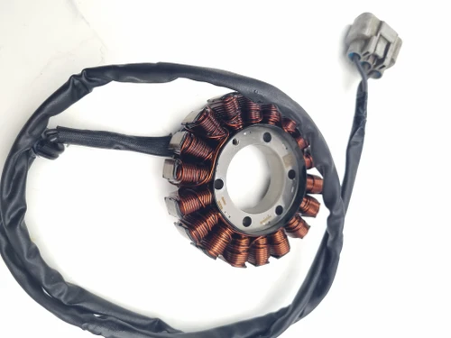Alternator Stator Generator BMW S1000XR K69 19-on 12318404476 