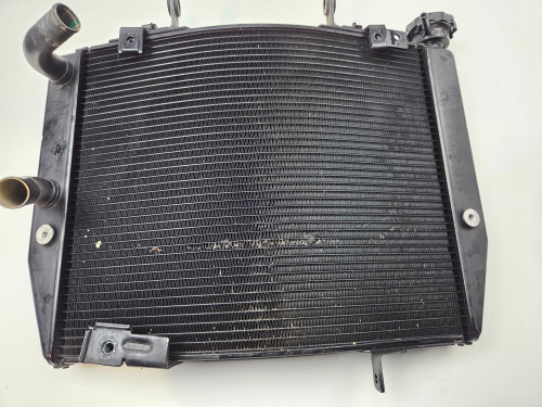 Radiator Triumph Speed Street Triple 765 R S RS 660 T2104444