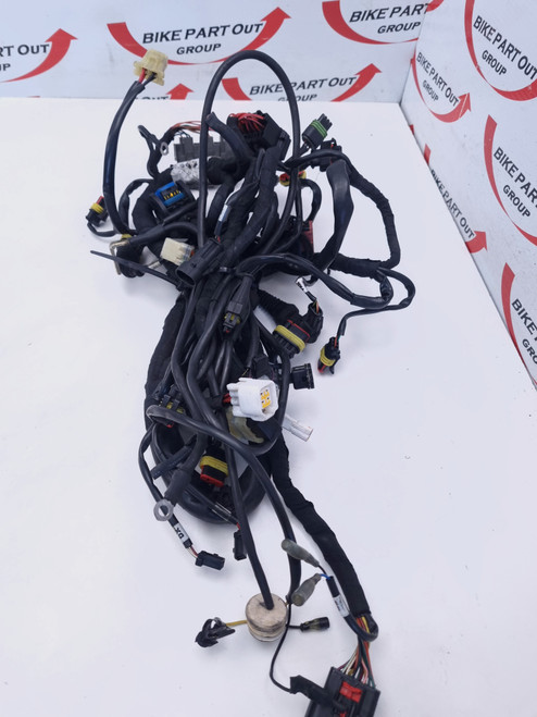 Main Harness Ducati 1098 S Streetfighter 09-11  51016621B