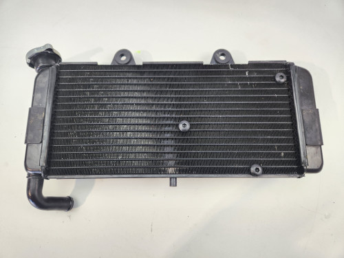 Radiator  Yamaha XT660Z XT 660 Z  Tenere  11D-E2461-10