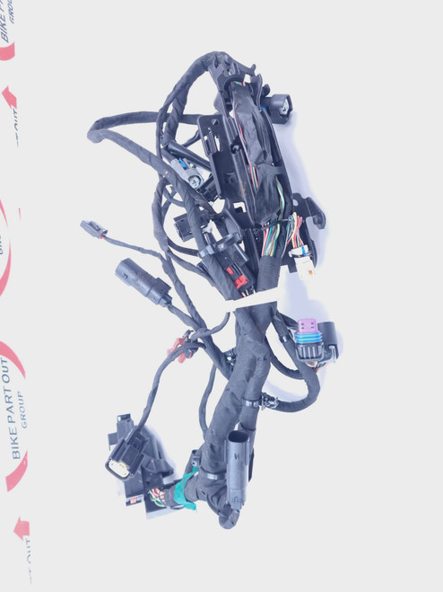 Main Harness Harley Davidson M8 Softail  21-24 69202197