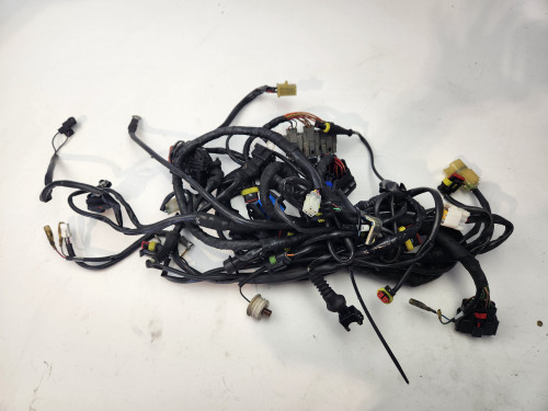 Main Harness OEM Ducati Streetfighter 848 1098 S 12-15 51017761A
